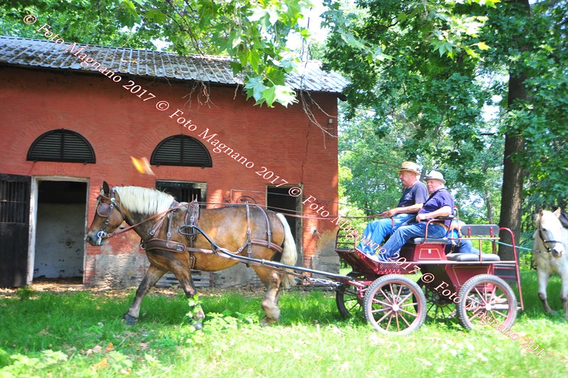 DSC_0978.JPG